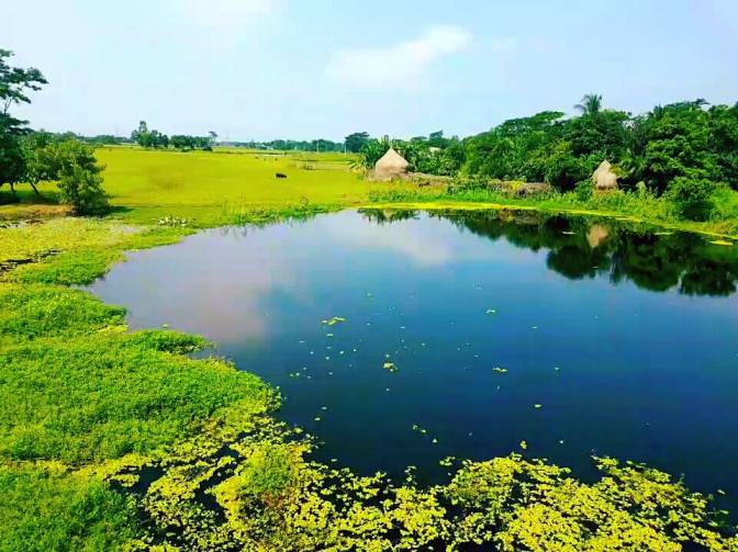 পেনশনের টাকা বৃদ্ধি করার নিরাপদ উপায়